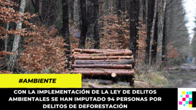 Disminuye la deforestación en Colombia en un 37%, según MinAmbiente