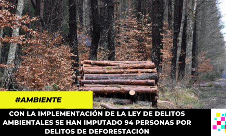 Disminuye la deforestación en Colombia en un 37%, según MinAmbiente