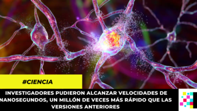 Desarrollan neurona artificial 1 millón de veces más rápida que la del cerebro humano