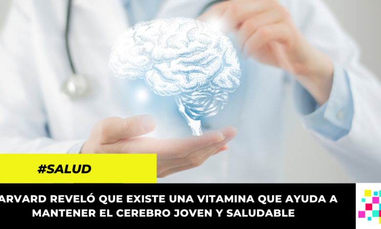 Esta vitamina le ayudará a tener un cerebro más saludable