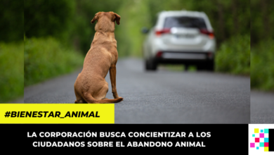 CAR crea campaña contra el abandono de mascotas en parques ecoturísticos