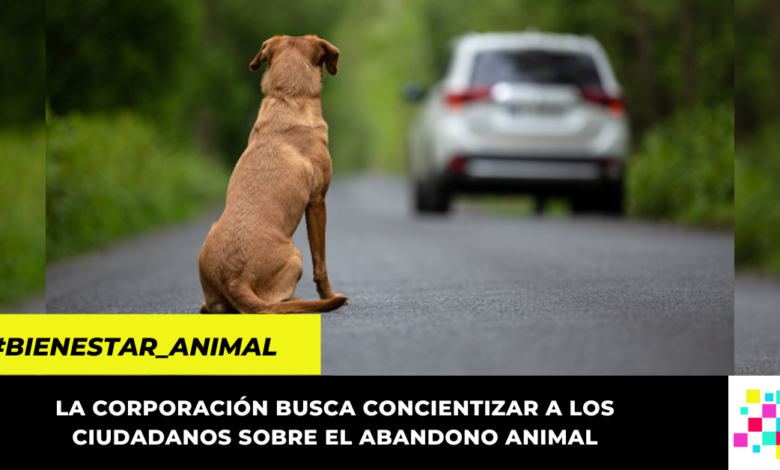 CAR crea campaña contra el abandono de mascotas en parques ecoturísticos