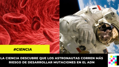 ¿Mutaciones genéticas en la sangre los astronautas? El sorprendente hallazgo de científicos