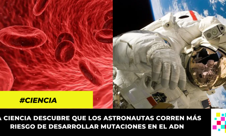 ¿Mutaciones genéticas en la sangre los astronautas? El sorprendente hallazgo de científicos