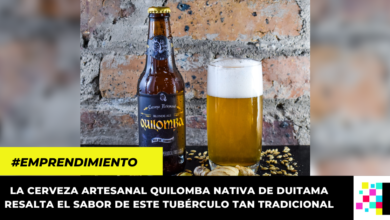 ¿Una cerveza artesanal de papa? La innovadora propuesta de emprendedores de boyacenses