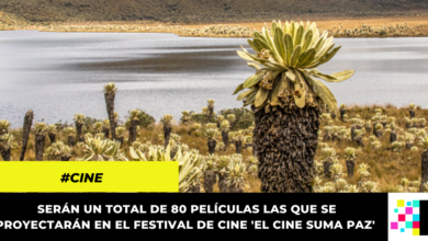 Crean festival de cine inspirado en el páramo del Sumapaz