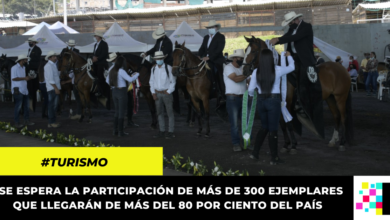 Chipaque se prepara para la VII Exposición Equina Grado B, un evento para reactivar la economía de la región