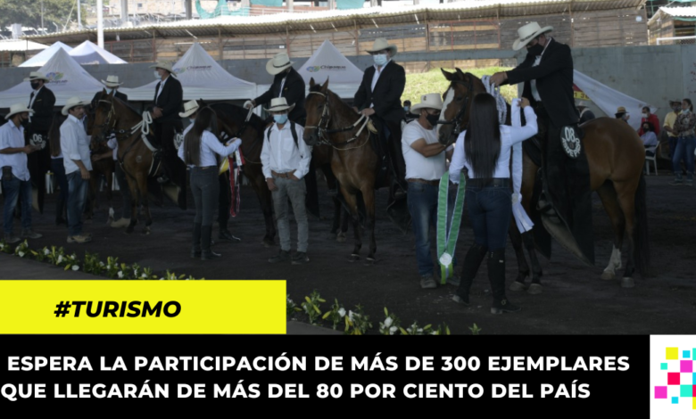 Chipaque se prepara para la VII Exposición Equina Grado B, un evento para reactivar la economía de la región