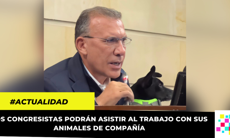 Presidente del Senado, Roy Barreras, anuncia que el Congreso será Pet-Frendy