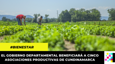 Gobierno departamental beneficiará a cinco asociaciones productivas de Cundinamarca