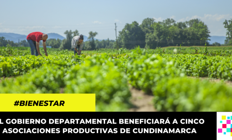 Gobierno departamental beneficiará a cinco asociaciones productivas de Cundinamarca