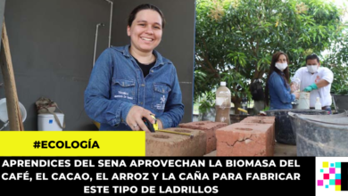 Jóvenes colombianos fabrican ladrillos ecológicos