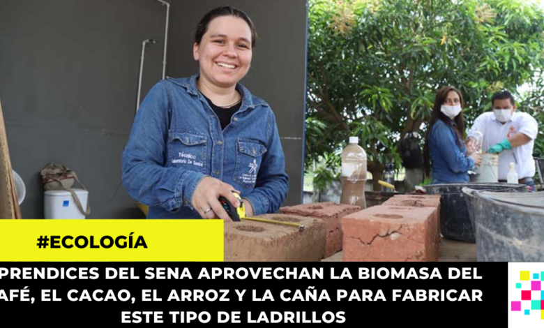 Jóvenes colombianos fabrican ladrillos ecológicos