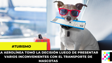 Política de manejo de mascotas de Avianca cambiará en 2023