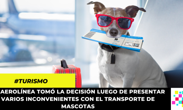 Política de manejo de mascotas de Avianca cambiará en 2023