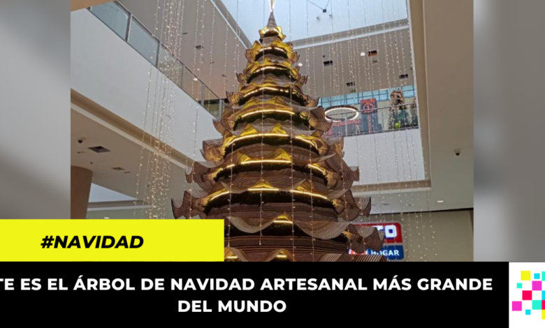 Este es el árbol de navidad de caña flecha más grande de mundo, está en Colombia