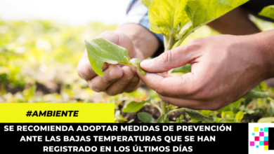 Recomendaciones de la CAR a campesinos y agricultores ante las bajas temperaturas