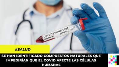 Covid 19: científicos estarían cerca de desarrollar una medicina efectiva contra el virus