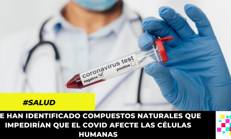 Covid 19: científicos estarían cerca de desarrollar una medicina efectiva contra el virus