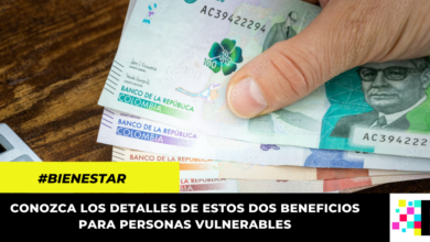 Ingreso Solidario y Bono 500 mil pesos, ¿Quién puede cobrar estos beneficios?