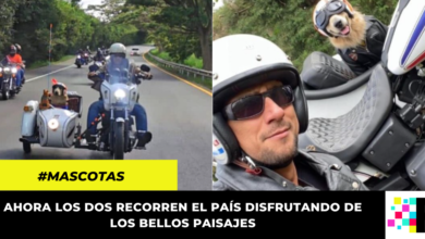 Colombiano adaptó su moto para llevar a su mascota de viaje