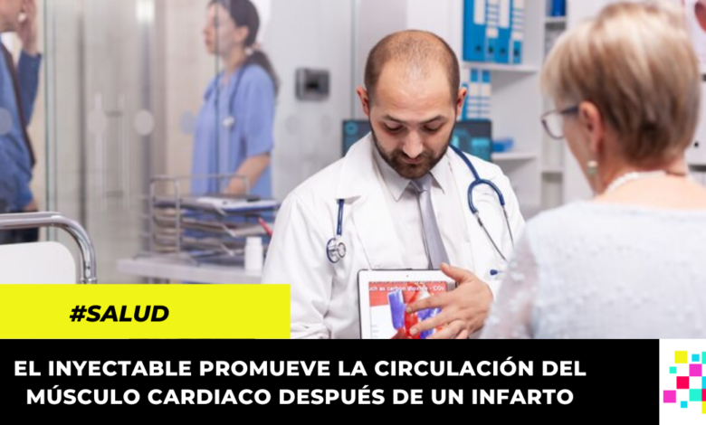 Desarrollan inyectable para ayudar a la recuperación del corazón después de un infarto