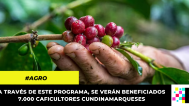 Caficultores de Cundinamarca podrán inscribirse en la Red de Progreso Agropecuario