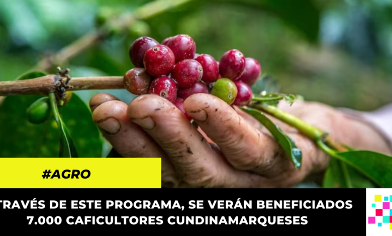 Caficultores de Cundinamarca podrán inscribirse en la Red de Progreso Agropecuario