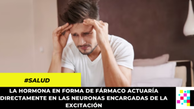 Descubren hormona que elimina los efectos del alcohol en sangre, sería la cura contra el guayabo