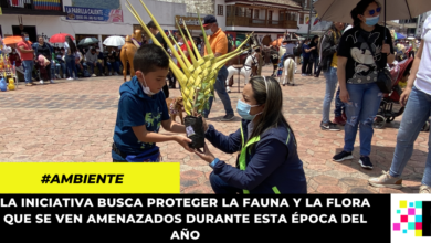 CAR crea campaña para vivir una Semana Santa con conciencia ambiental