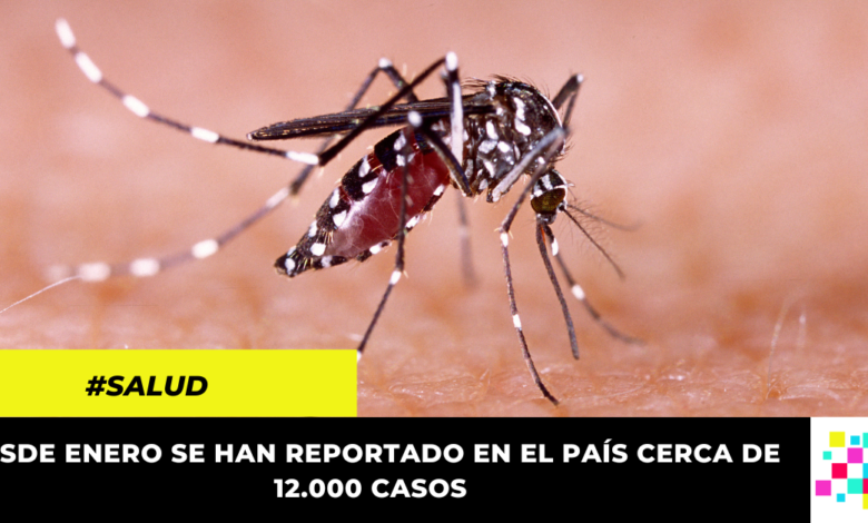 Aumento de casos de dengue en Colombia mantiene en alerta a las autoridades