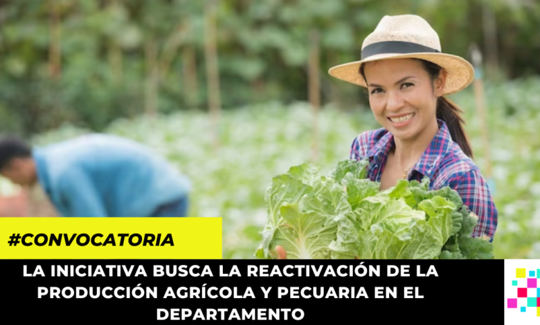 Abierta convocatoria para jóvenes agricultores entre los 18 y 28 años de edad