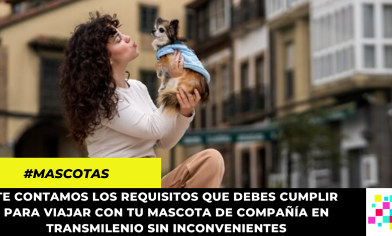 Sigue estas recomendaciones para viajar de forma segura en transporte público con tu mascota