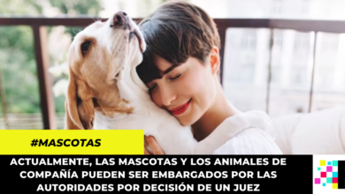 Radican proyecto para impedir el embargo de mascotas en Colombia