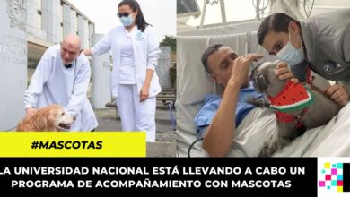 Hospital Universitario Nacional promueve la visita terapéutica de mascotas a pacientes en UCI