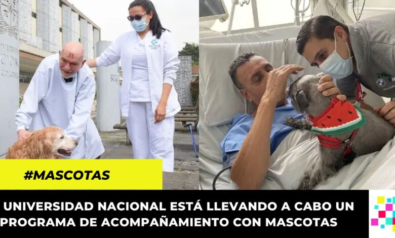 Hospital Universitario Nacional promueve la visita terapéutica de mascotas a pacientes en UCI