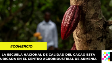 Inauguran la primera Escuela Nacional de Calidad del Cacao en Quindío