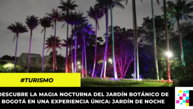 No te pierdas este 26 de mayo el Jardín Botánico de noche con una experiencia mágica