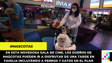 Conoce la primera ciudad del mundo que abrió salas de cine pet frendly