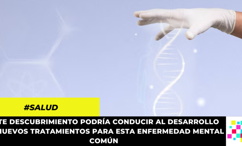 Descubren la forma de desactivar el “gen de la ansiedad”