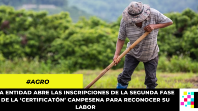 SENA anuncia $25.000 millones para emprendimientos nacidos en el campo colombiano