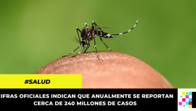 Científicos desarrollan antibiótico natural para detener la malaria