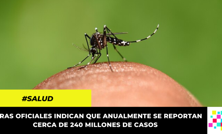 Científicos desarrollan antibiótico natural para detener la malaria