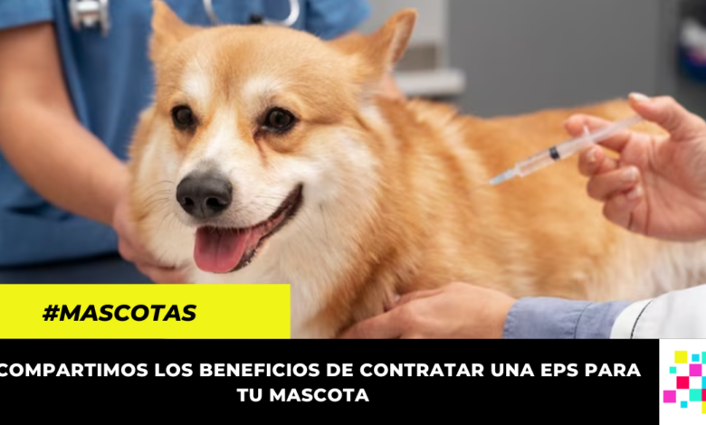 EPS para mascotas en Colombia: ¿qué servicios ofrecen y cuál es su precio?