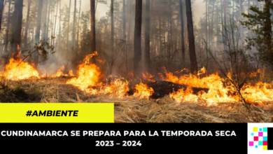 Gobernación de Cundinamarca emite recomendaciones para prevenir incendios forestales