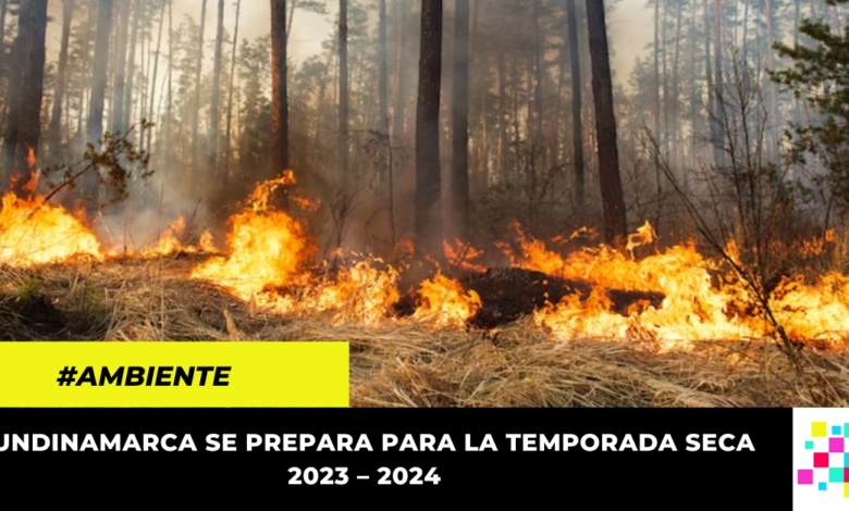 Gobernación de Cundinamarca emite recomendaciones para prevenir incendios forestales