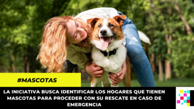 Protege a tu mascota en caso de emergencia con Salvando Patitas, una iniciativa dedicada a su seguridad