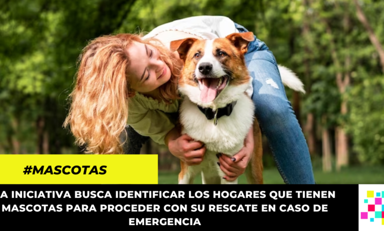 Protege a tu mascota en caso de emergencia con Salvando Patitas, una iniciativa dedicada a su seguridad