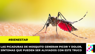 El mejor truco para aliviar el escozor por picadura de mosquito