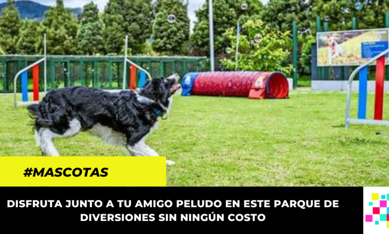 No te quedes sin visitar este parque de entretenimiento para mascotas gratuito en Bogotá